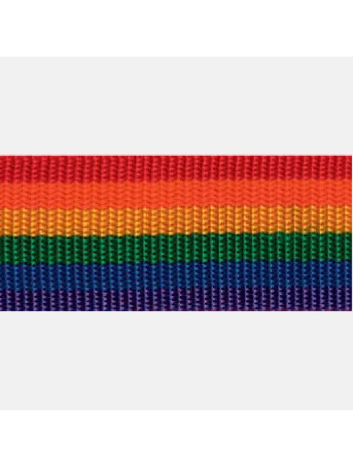 38MM Polypropylene  Webbing Rainbow Colour