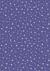 Lewis & Irene Haunted House - Glow in the Dark Stars